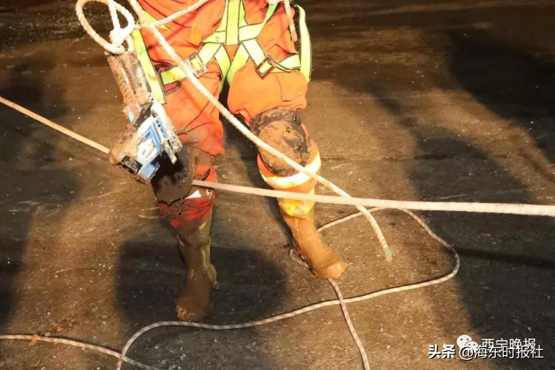 西宁事件最新进展及巷弄深处独特小店探秘