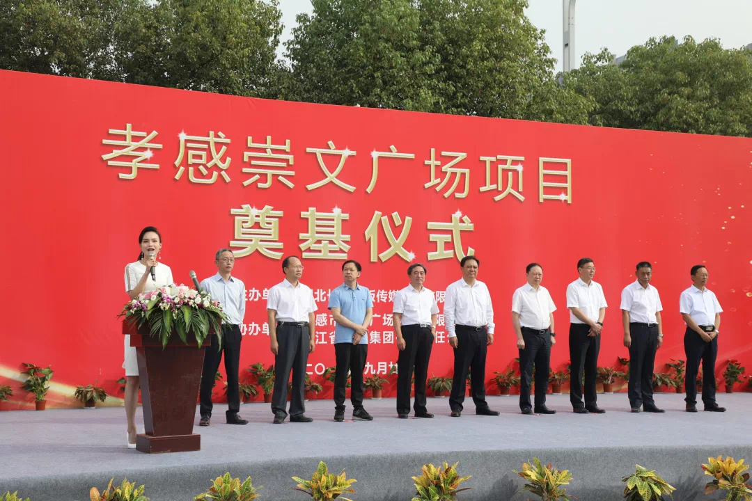 孝感最新蔡文概览