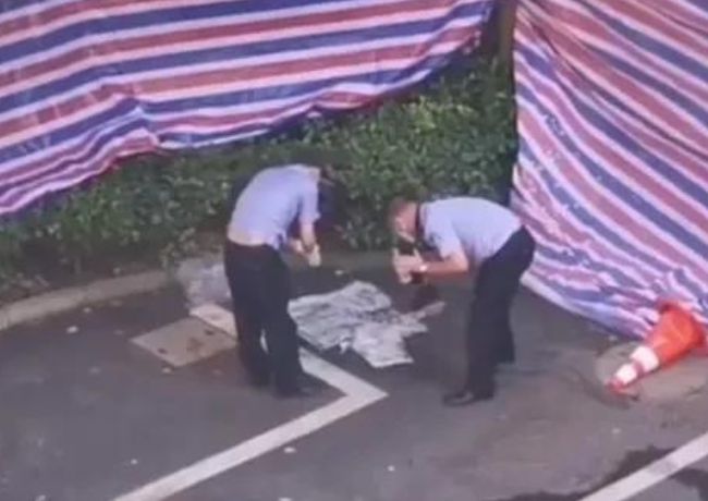 杭州女子失踪事件最新官方消息及关注应对指南