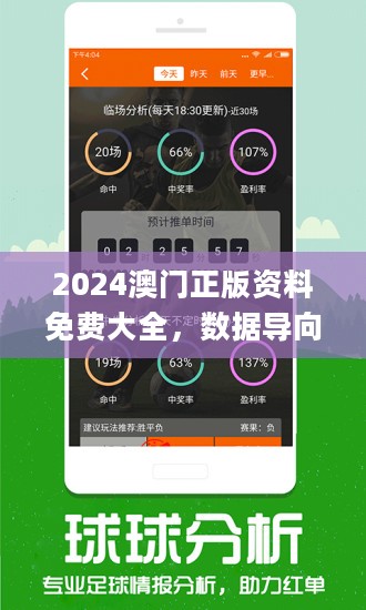2024年新澳门王中王免费,策略规划_高效版11.305