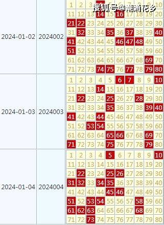 2024澳门天天开好彩大全开奖记录走势图,决策支持方案_外观版50.398