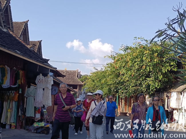 西双版纳最新动态，魅力与无限可能的变革